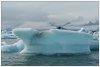 6/islande skatfatell iceberg 54 (Small).jpg